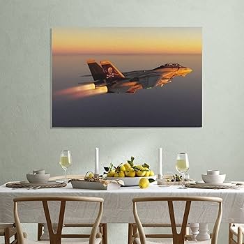 Amazon.co.jp: IGNB ミリタリーファイター F-14 トムキャット